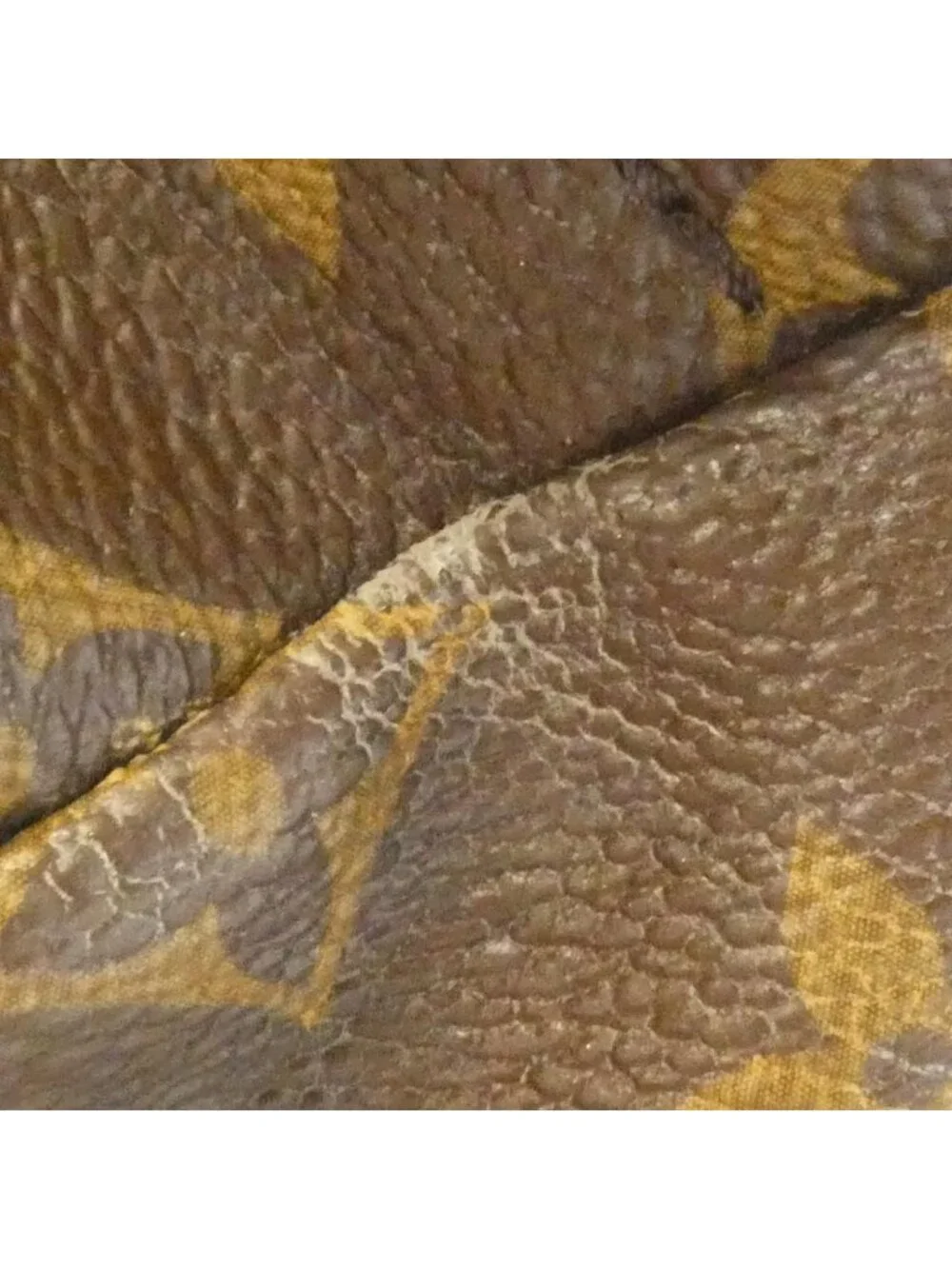 Louis Vuitton Monogram Palm Springs Backpack Mini